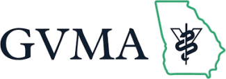 GVMA