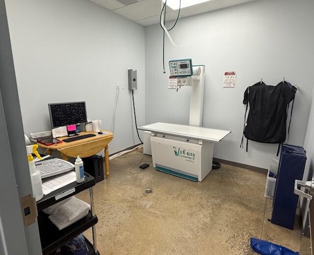 State of the Art Diagnostics Allowing for Quick Answers