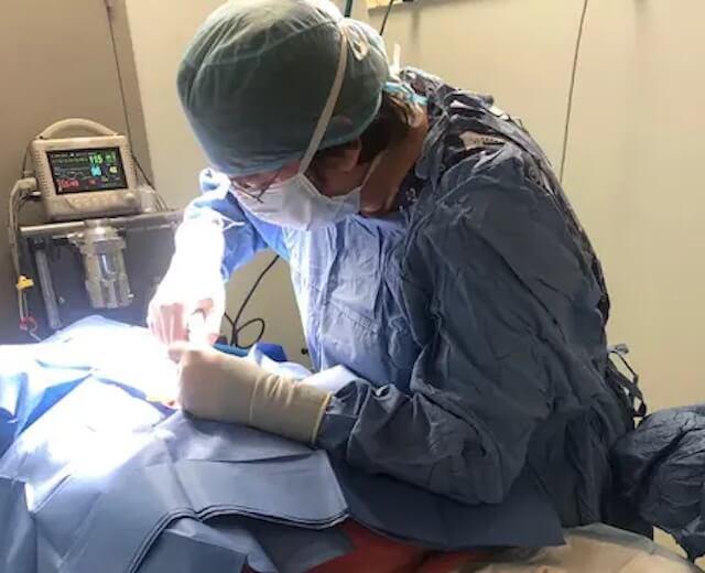 Expert Emergency Veterinarians With Many Years of ER Experience